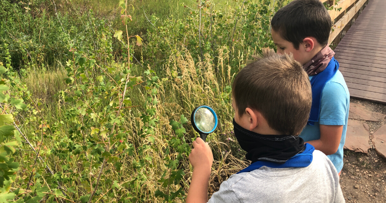 11 Games and Activities for Kids on a Hike