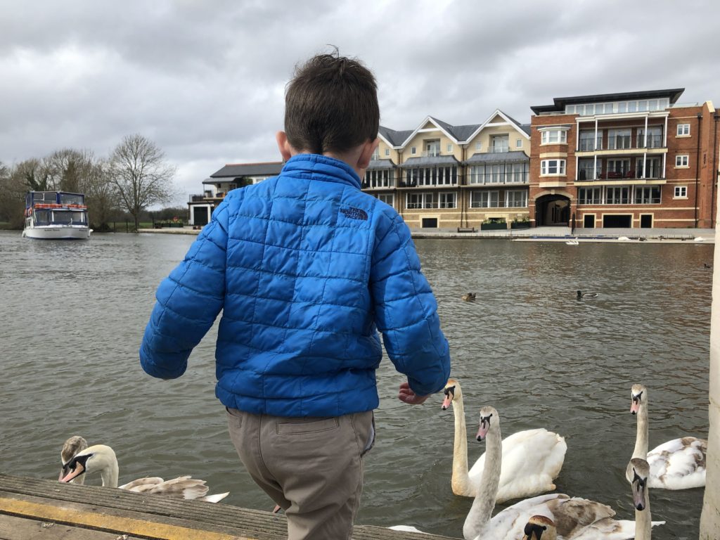 Feeding the geese on the Thames River - Windsor Day Trip with Kids - Exploring Through Life