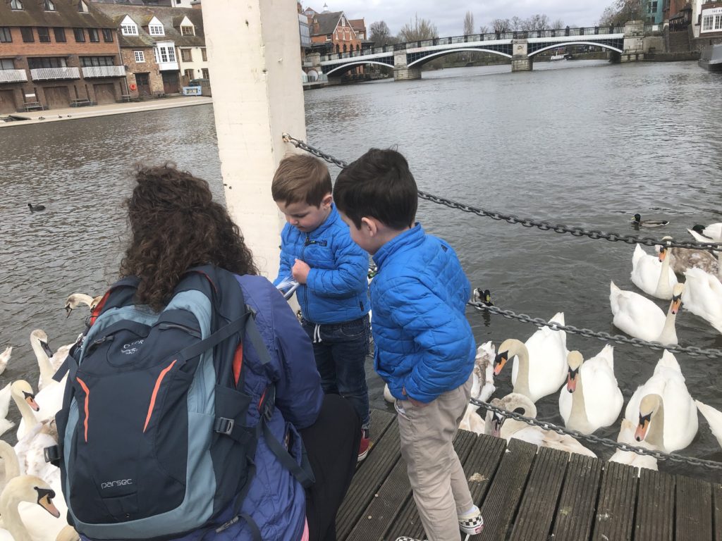 Feeding the geese on the Thames River - Windsor Day Trip with Kids - Exploring Through Life
