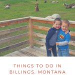 Things to do in Billings, Montana with kids
