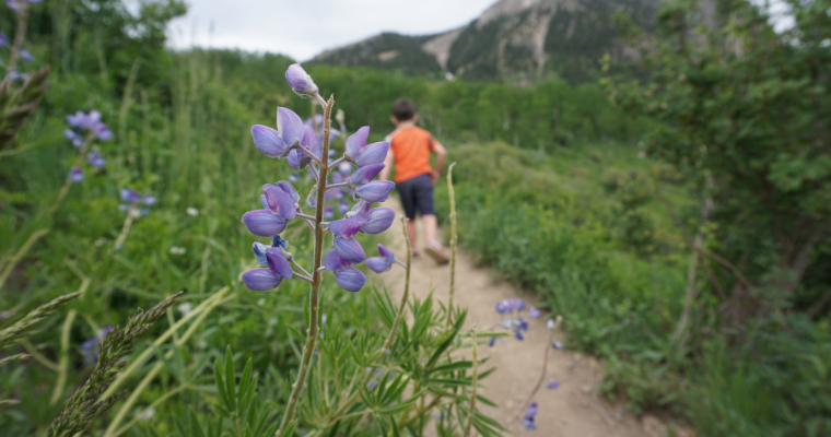 Summer Things to do with Kids in Crested Butte, Colorado