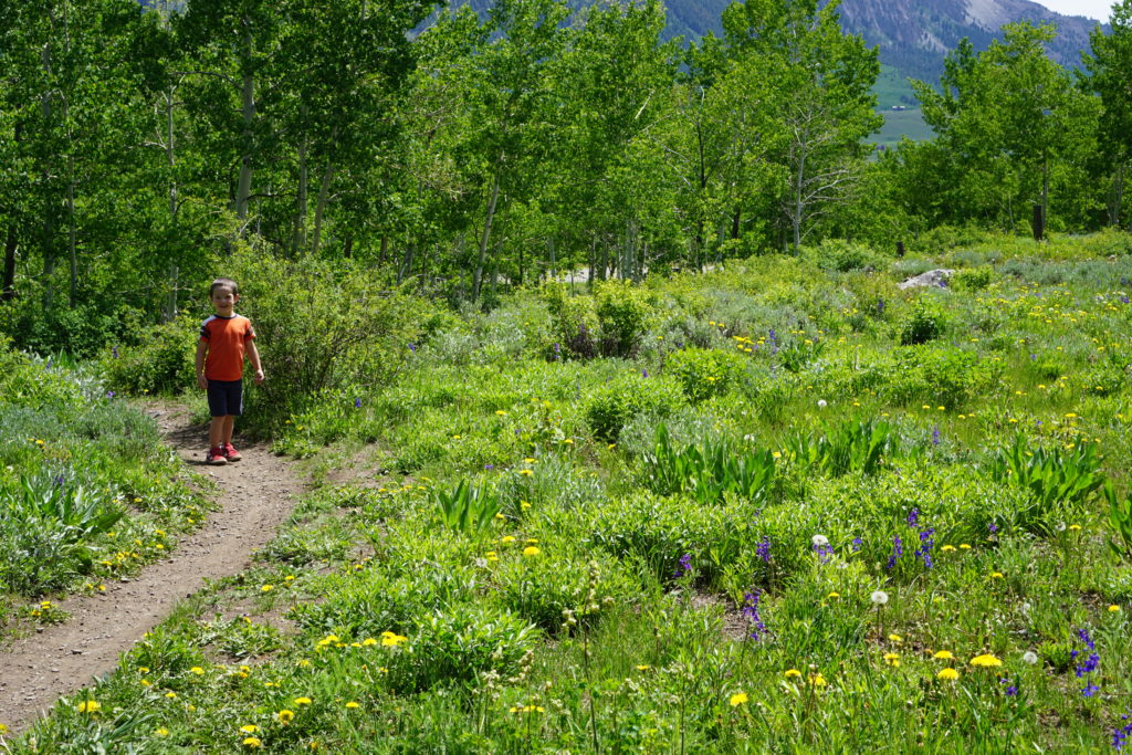 Woods Walk hiking with kids - Things to Do in Crested Butte, Colorado with Kids - Exploring Through Life