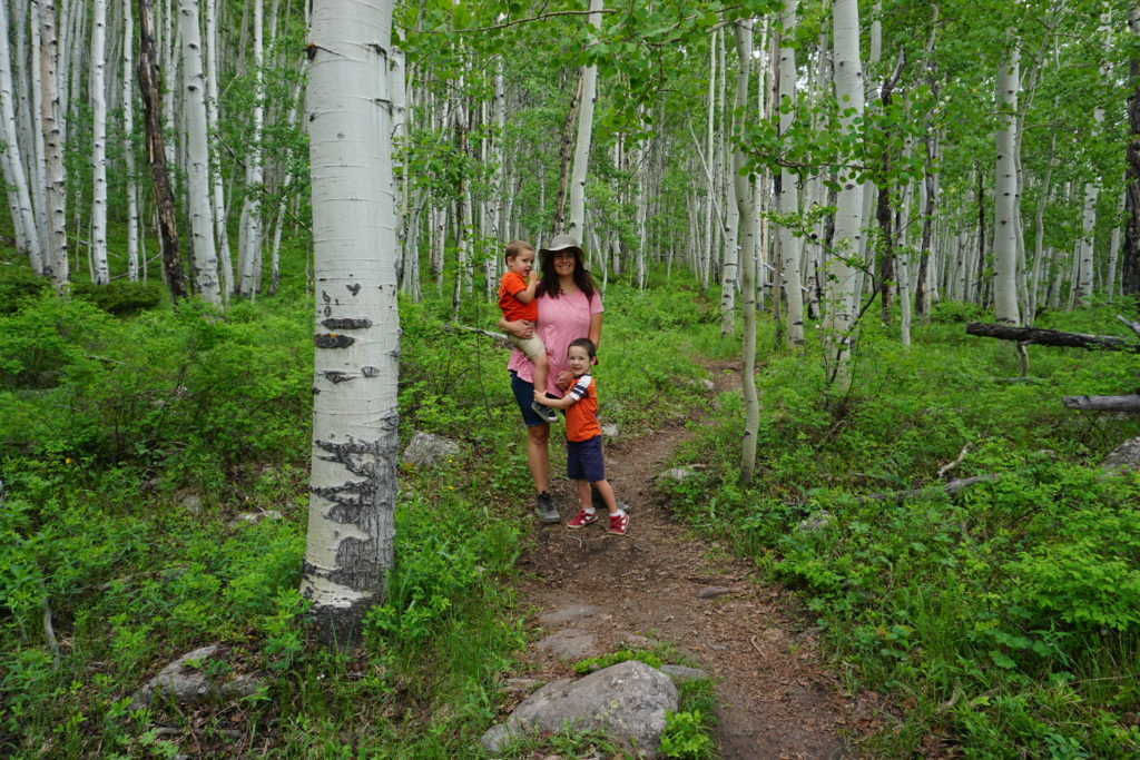 Aspen Grove on the Upper Loop trail with kids - Things to Do in Crested Butte, Colorado with Kids - Exploring Through Life