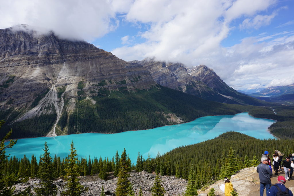 Peyto Lake is a pristine aqua lake with an easy hike - Best Kid-Friendly Hikes in Banff - Exploring Through Life