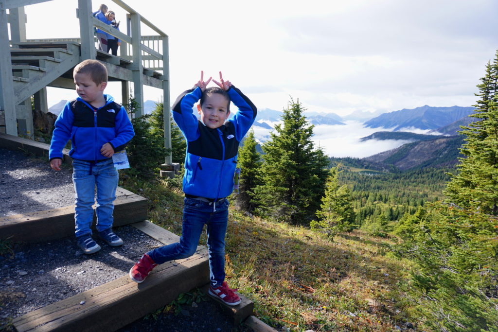 Standish Viewing Platform - Sunshine Meadows with Kids - Exploring Through Life