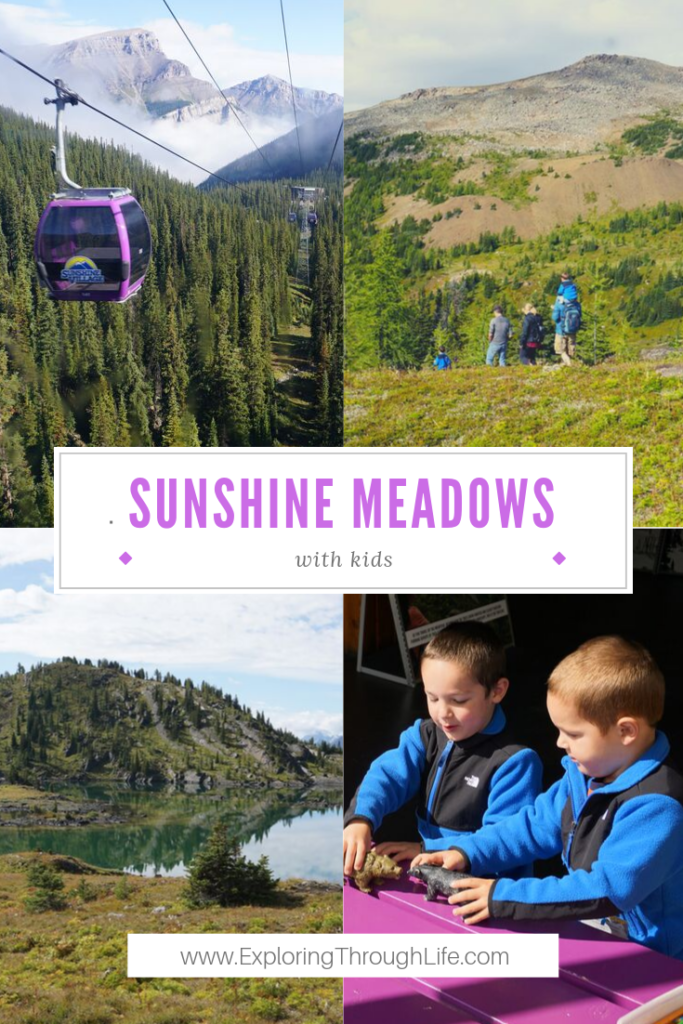 Looking for things to do with kids in Banff National Park? Sunshine Meadows is not to be missed! From the Sunshine Village Gondola to hiking in Sunshine Meadows, you're sure to have a fantastic day with your family. Take in incredible scenery and enjoy a day spent experiencing and learning about the park at the Interpretive Center.
