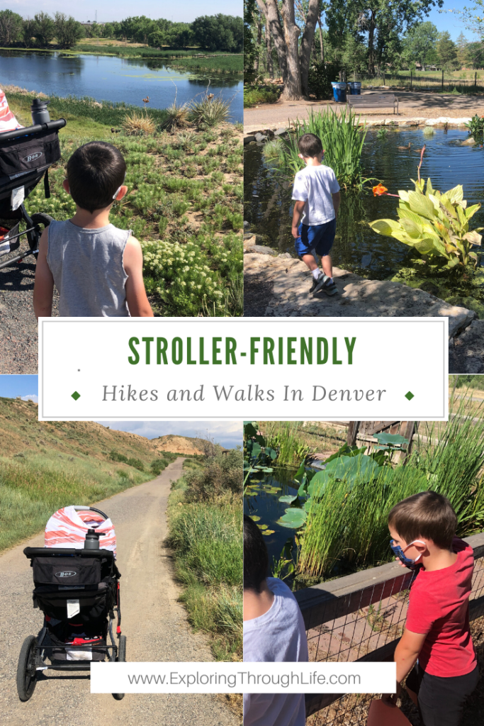 Are you looking for a kid-friendly hike in the Denver area? Have you thought about taking a stroller? Check out these stroller-friendly hikes in Denver, Colorado! Explore the Denver foothills with kids in tow.