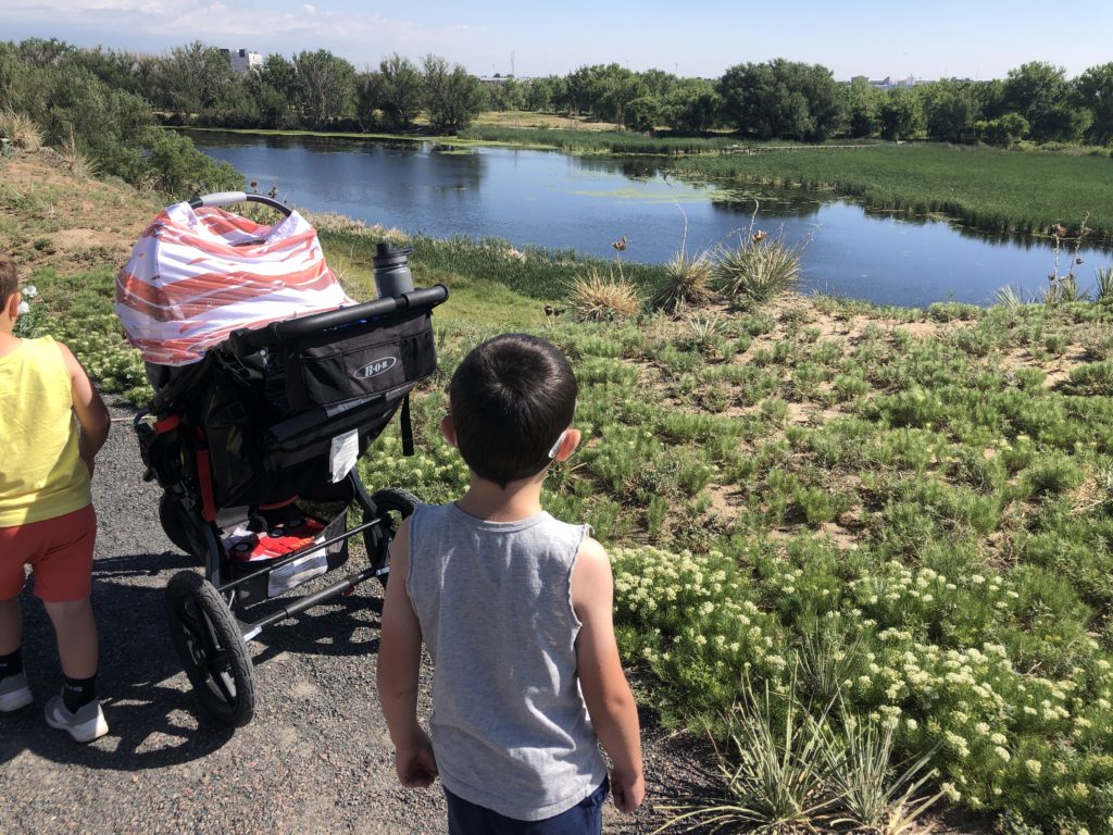 Bluff Lake Nature Center Trail features a small lake, wildlife and native vegetation - 31 Family Hiking Trails Near Denver - Exploring Through Life