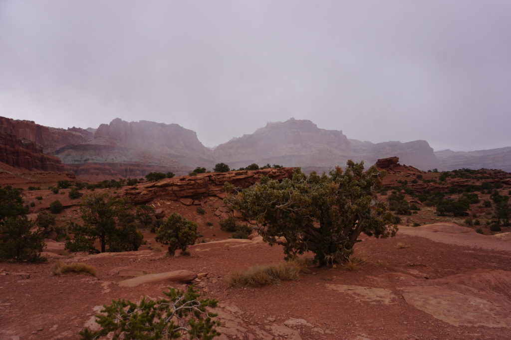 Panoramic Point in Capitol Reef National Park has incredible views. - Exploring Through Life