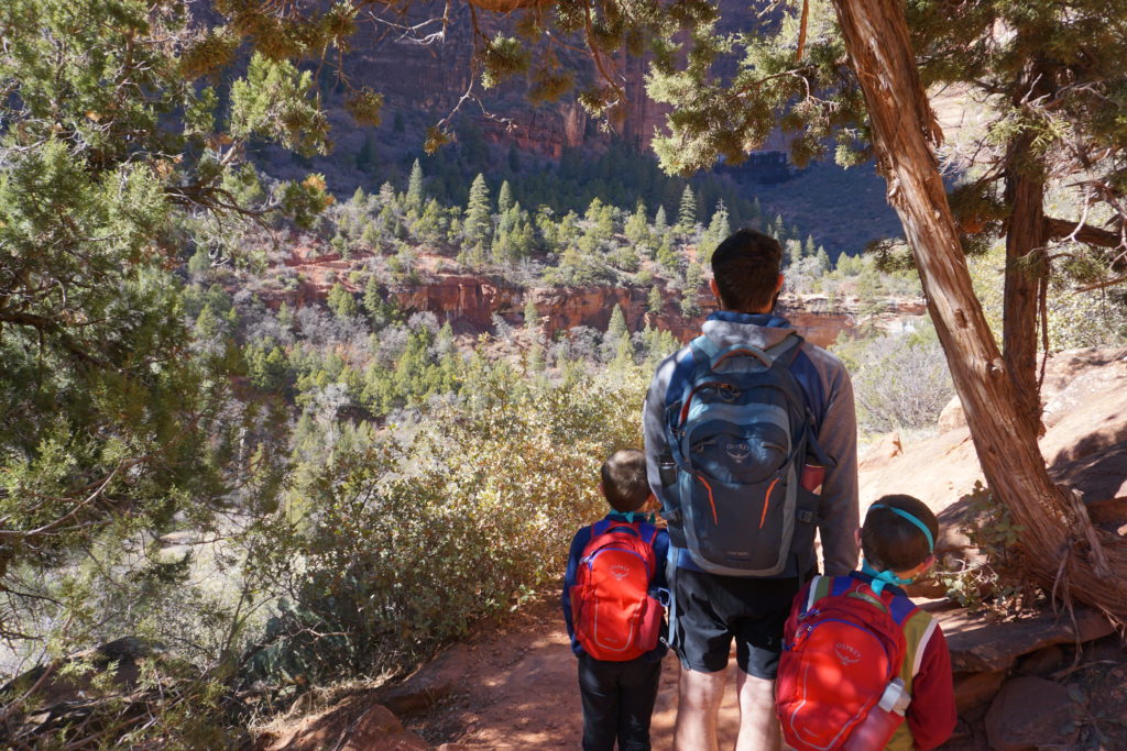 The Kenyata Trail looks out over the valley and Emerald pools and is a great hike for kids in Zion National Park. - Exploring Through Life