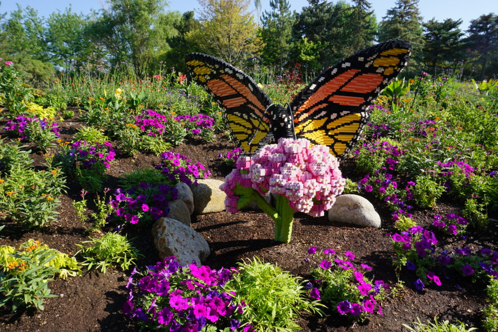 Sean Kenney's Nature Connects LEGO exhibits filled Ashton Gardens with beautiful LEGO animals like this butterfly.